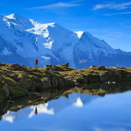 Des Oiseaux - Happy * Chamonix